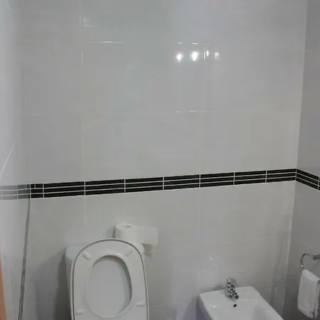 Apartment Flamingo Rose Porto